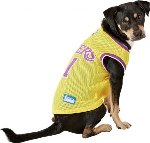 Boston Bruins Pet Dog Jersey by Pets First