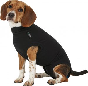 Suitical recovery suit for dogs