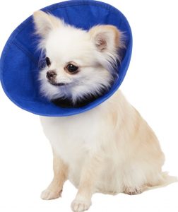 NACOCO Pet E-Collar Elizabethan Collars Recovery Pet Cone for Cats and Small Dogs Breathable Soft Edge and Easy to Clean 