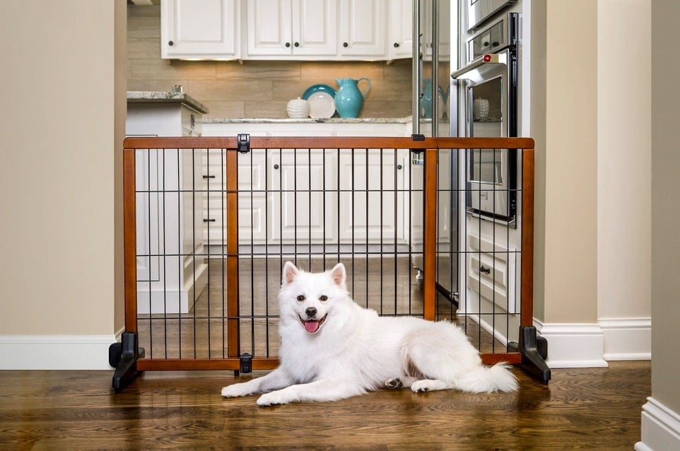 free standing dog gate at home