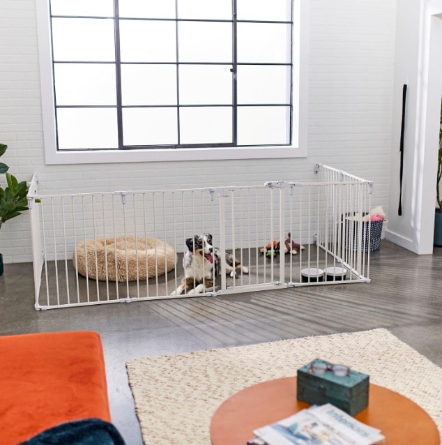 dog gate in front of wall