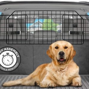 vehicle pet barrier with dog