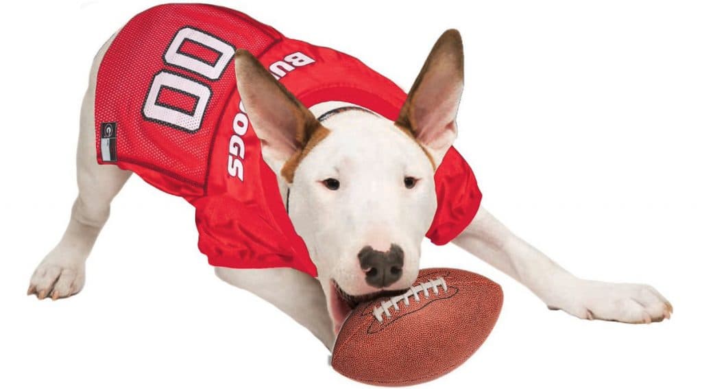 dog sports jerseys,Save up to