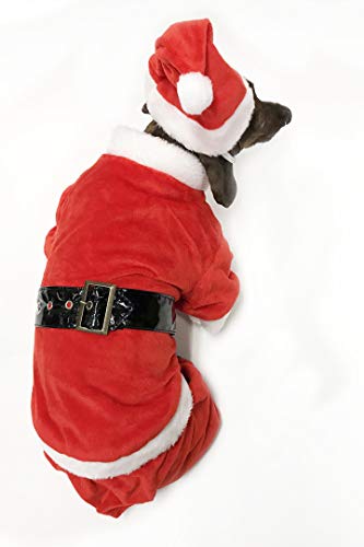 dog in Christmas outfit of Santa coat, pants, and hat