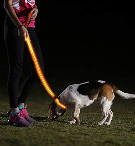 Illumiseen LED dog leash