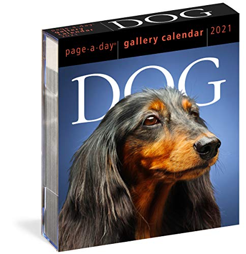 Dog Breed Calendar Just Labs 2021 Box Calendar 