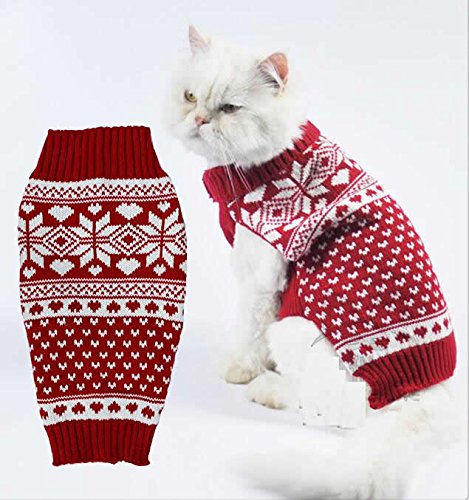 white cat wearing Fair Isle-style sweater