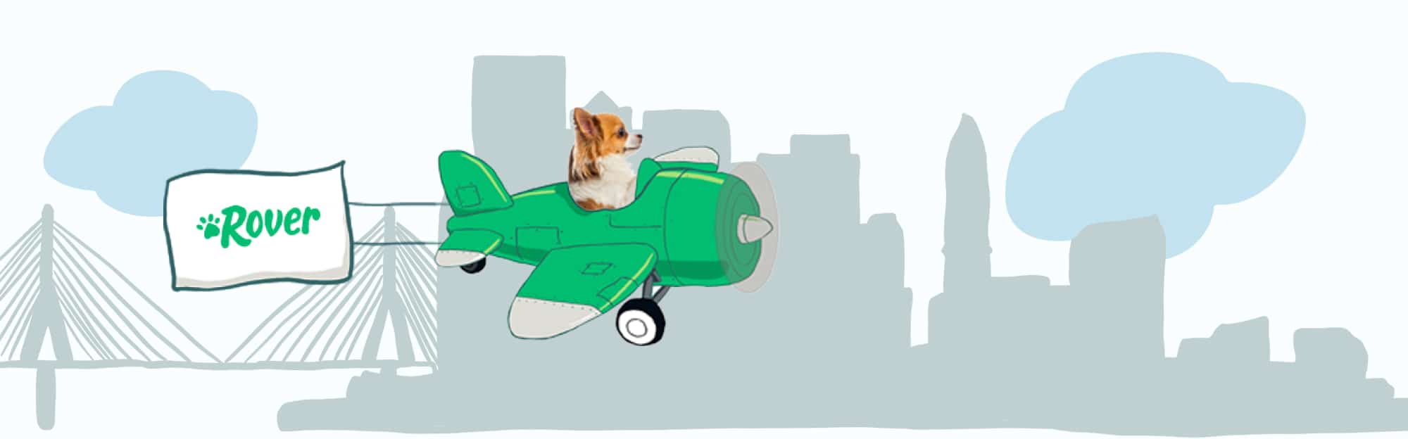 A graphic of Boston's skyline for the most popular dog and cat names of 2020