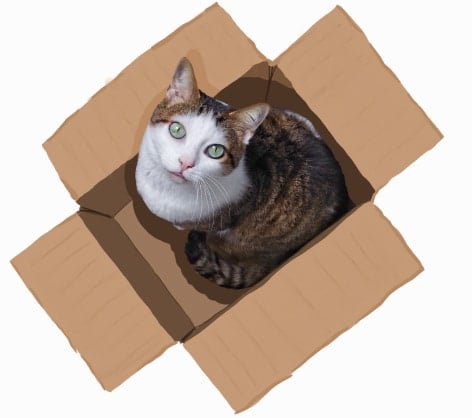 Cat Names Top Female