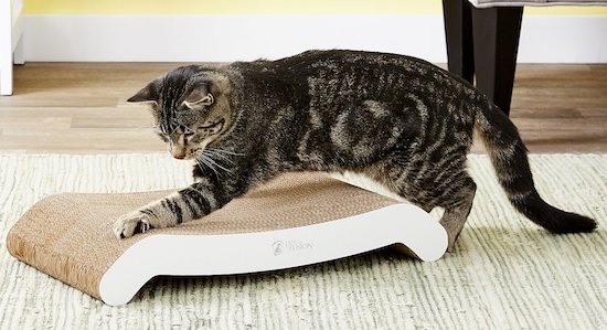Pet Fusion cat scratcher pad