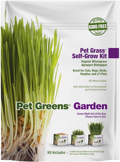 Pet Greens Garden grass growing kit