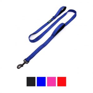 Max and Neo blue double dog leash