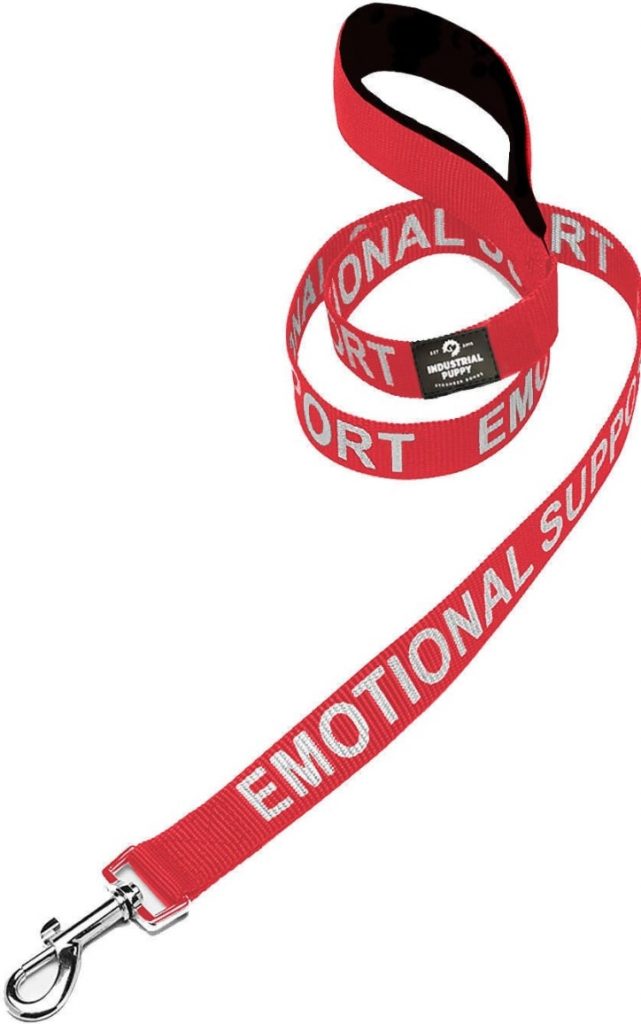 Reflective Dog Leashes Let 'Em Glow With the Best Reflective Leashes