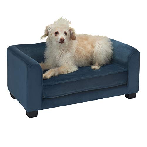 Small Dog Beds The Best Small Dog Beds for Your PintSized Pal