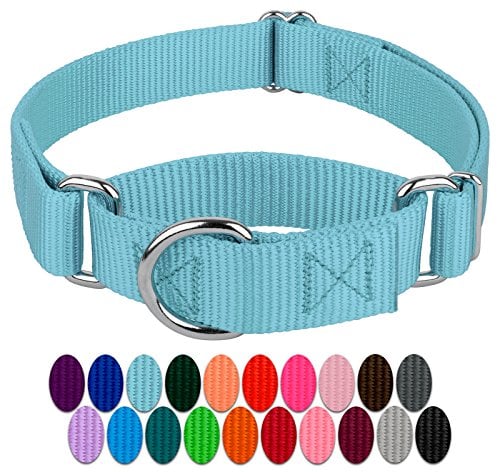 Country Brook Petz teal martingale for walk your dog month