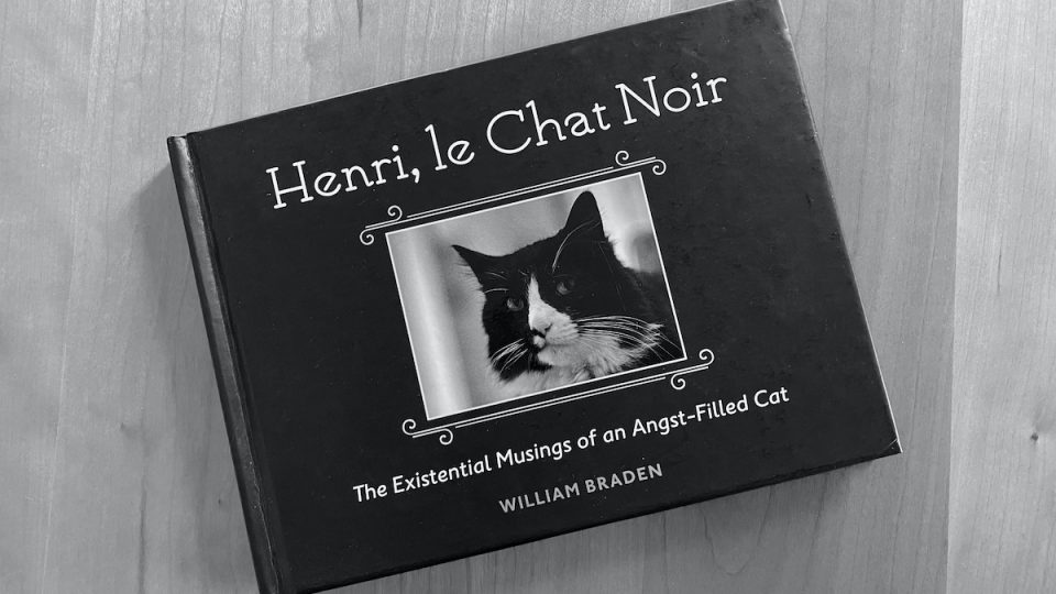 Henri le chat noir