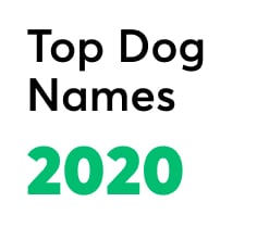 The Most Popular Dog Names of 2020