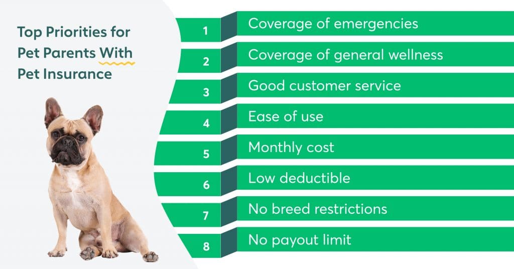 In a survey of pet parents with pet insurance, we found that the top two factors that influenced the policy selected were general wellness and emergency coverage.