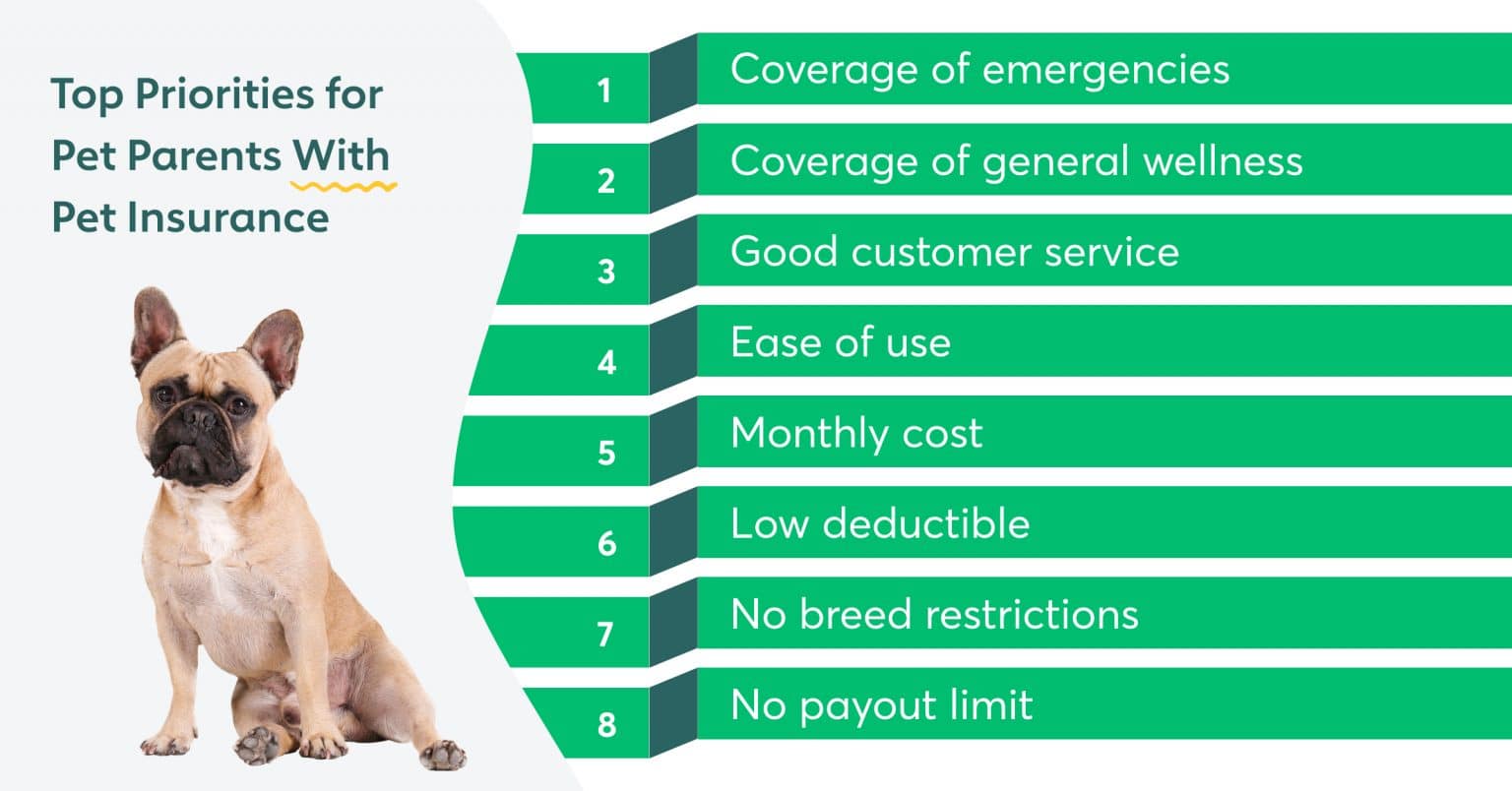The Best Pet Insurance Companies A Pet Parent's Guide