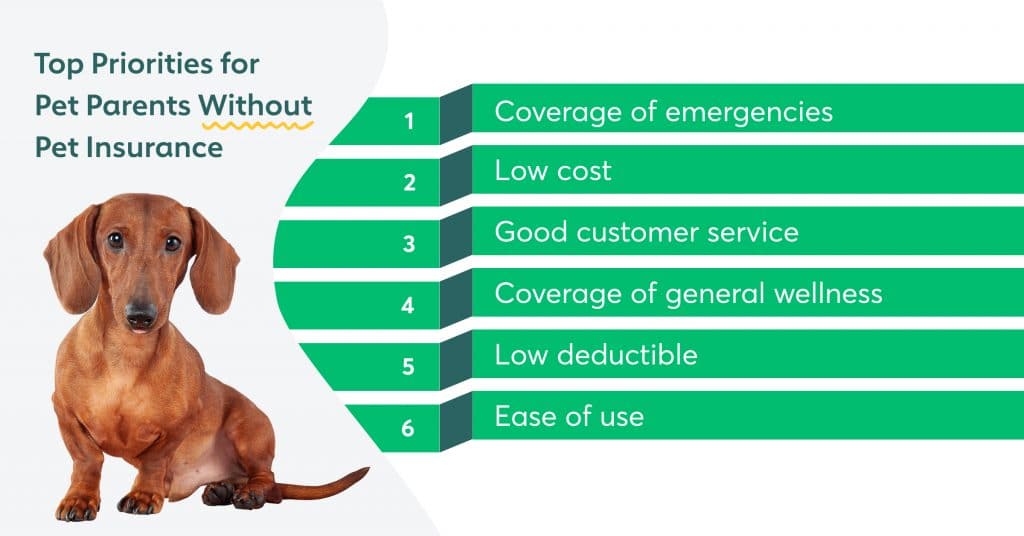 In a survey of pet parents without pet insurance, we found that the most important factors when considering a pet insurance policy were coverage of emergencies and affordability.