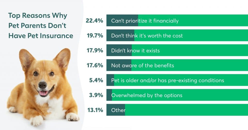 The Top 2 Reasons Why Pet Parents Don't Have Pet Insurance are that they can't prioritize it financially, and that they don't think it's worth the cost.