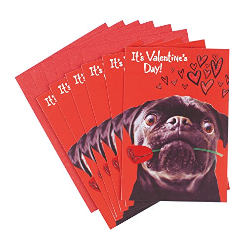 cards with pug holding rose in mouth