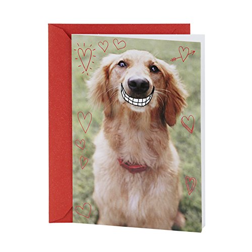 Valentine's Day smiling dog card