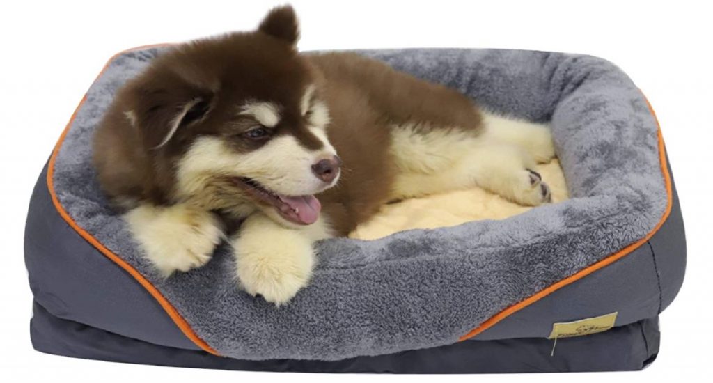 Got A Wet Dog? Discover The 10 Best Water Resistant Dog Beds