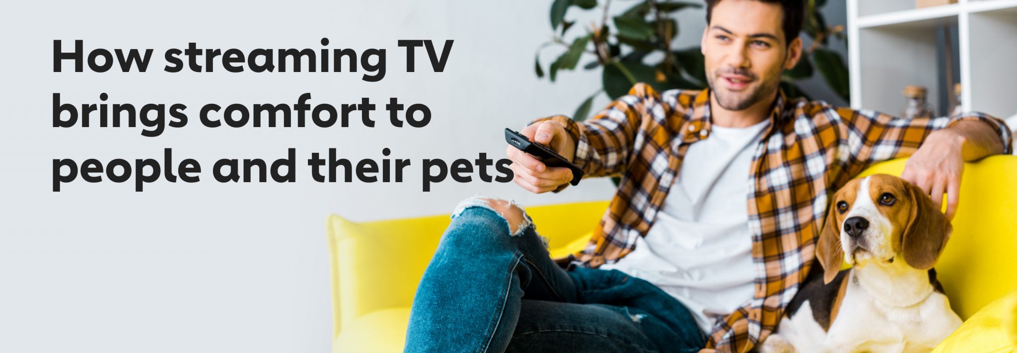 How Streaming TV Brings Comfort to People and Their Pets