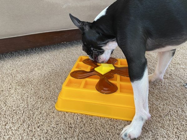 Dog Puzzle Dog Toy-Great Alternative to Snuffle Mat for Dogs & Slow Feeder Dog Bowls OurPets Waffle & Sushi Interactive Puzzle Game Dog Toys & Cat Toys Dog Puzzle Cat Puzzle & Interactive Dog Toys 