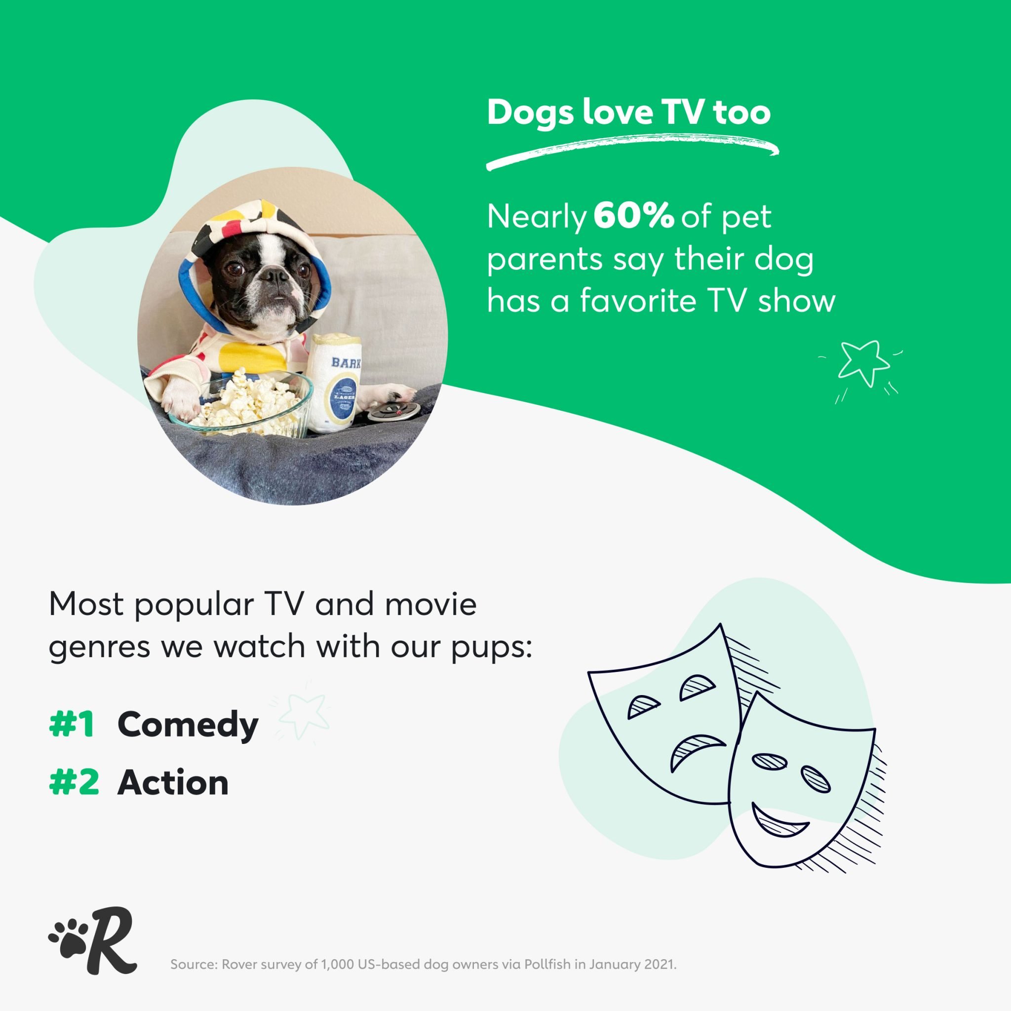 Infographic of survey results: The most popular genre of tv and movies among dog owners is comedy.