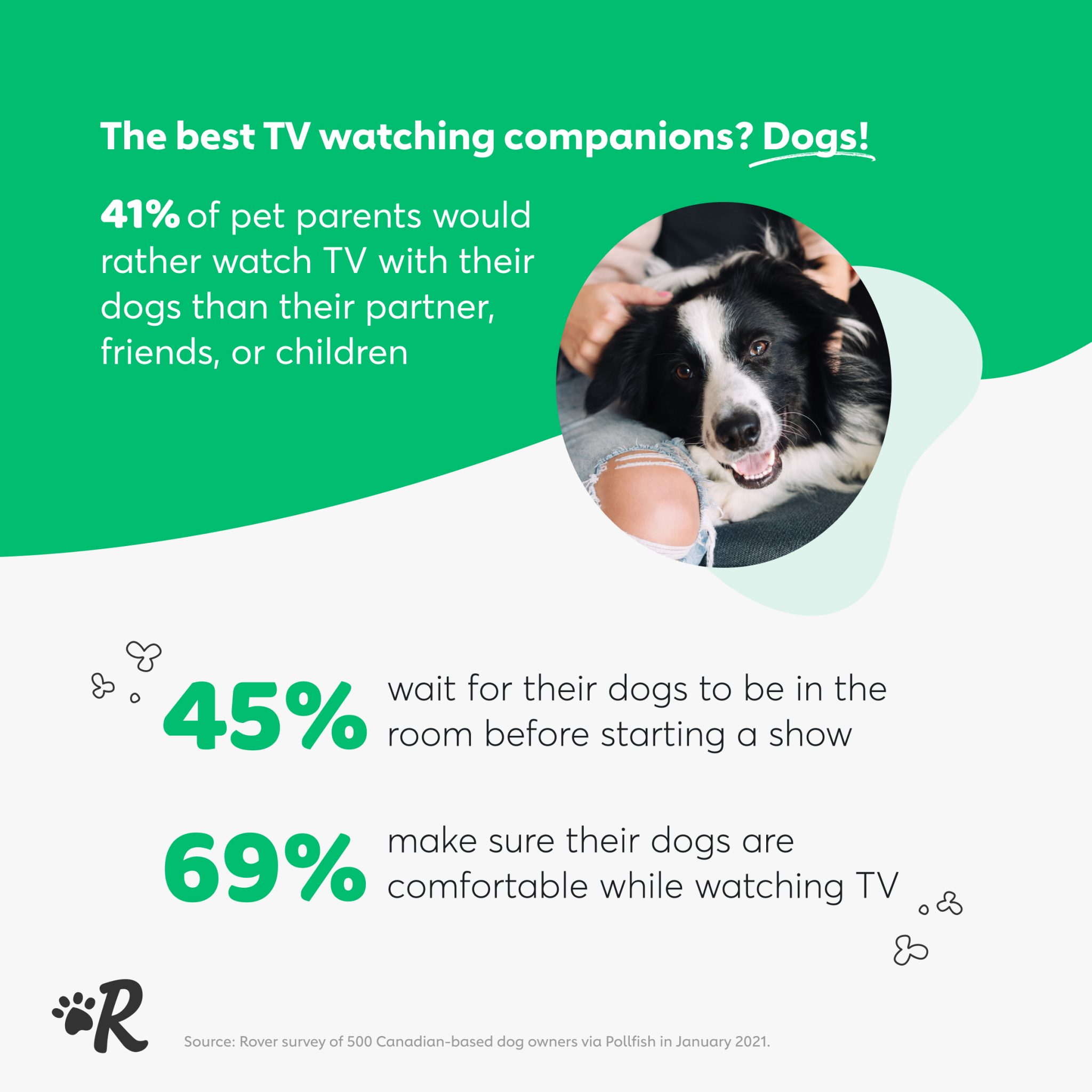 Infographic of survey data: 69% of dog owners make sure their dogs are comfortable watching TV