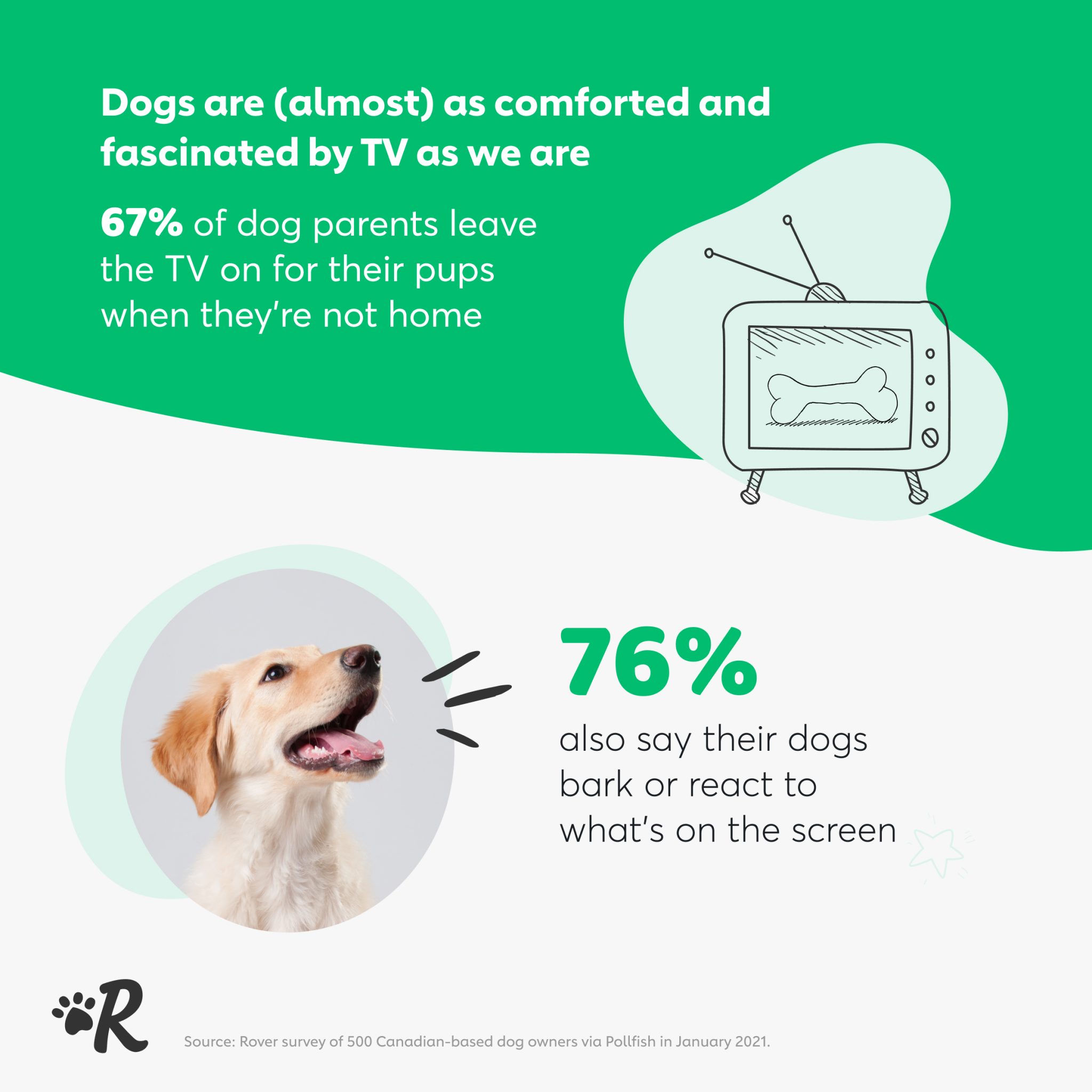 Infographic of survey data: 76% of dog owners claim their pet responds to what is happening on tv