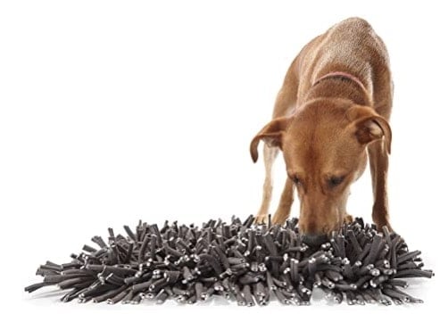 dog sniffing PAW5 Wooly Snuffle Mat, good for dog's mental stimulation