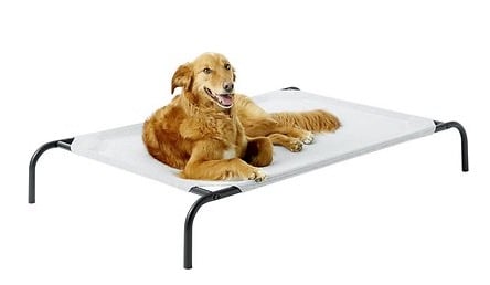 coolaroo elevated dog bed
