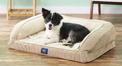 nice looking dog beds