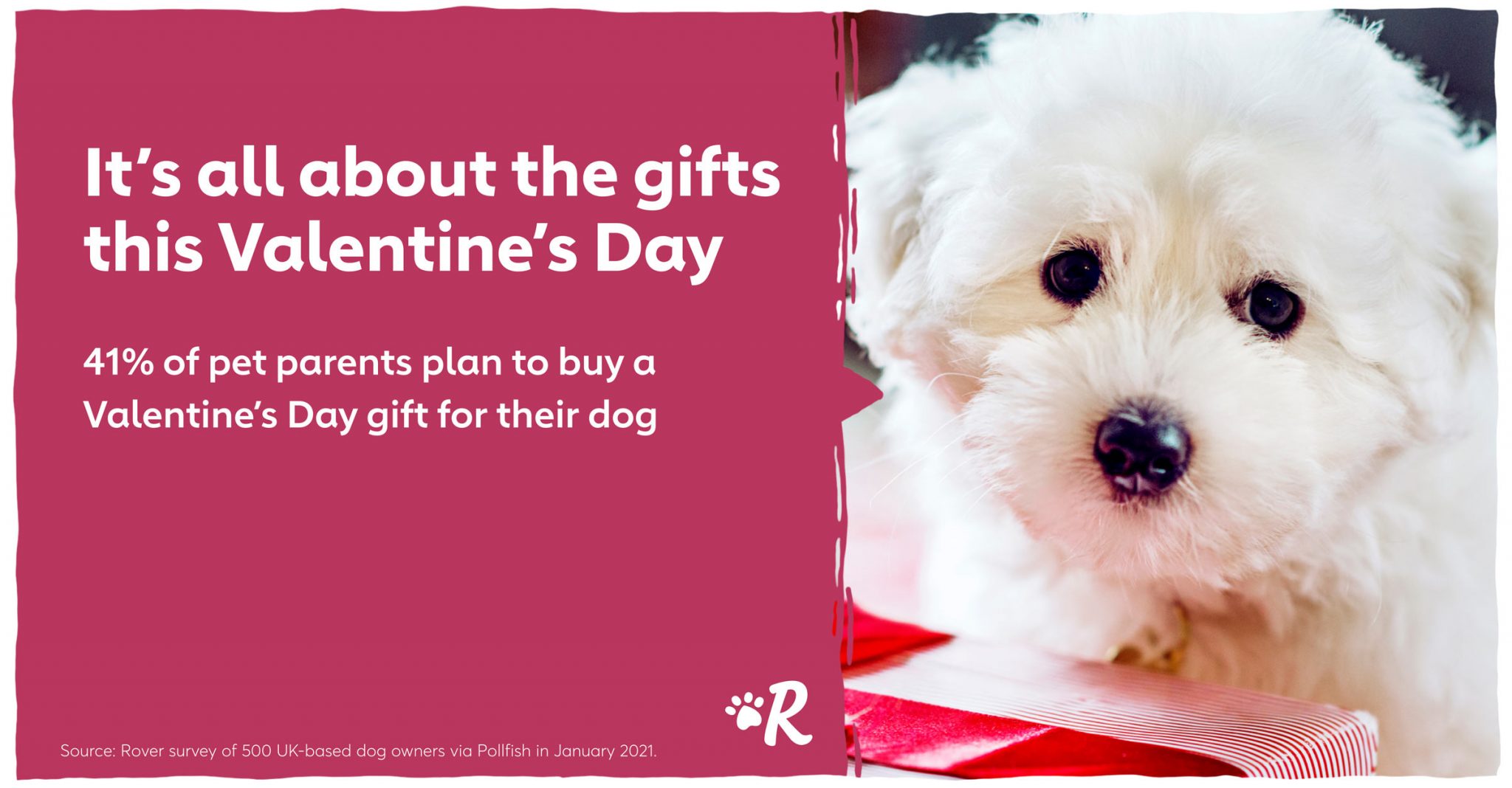 valentines day gift for dog