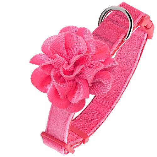 Azuza pink flower valentine dog collar