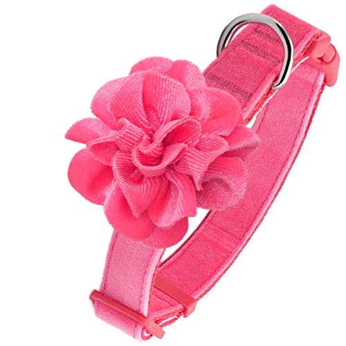 valentine dog collars