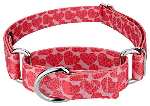 Country Brook Petz martingale dog collar with hearts