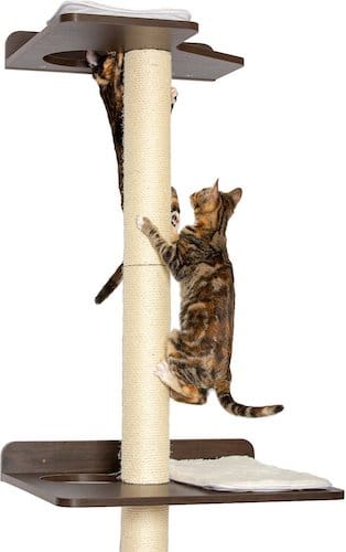 PetFusion cat tower