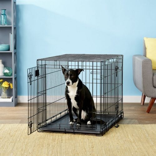 MidWest LifeStages Double Door Collapsible Wire Dog Crate