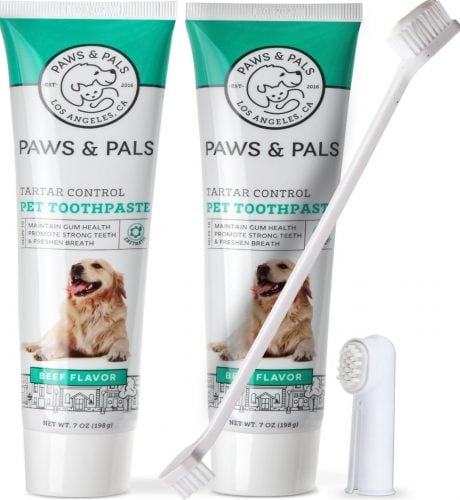 Paws & Pals Natural Beef Flavored Dog Toothpaste & Toothbrush
