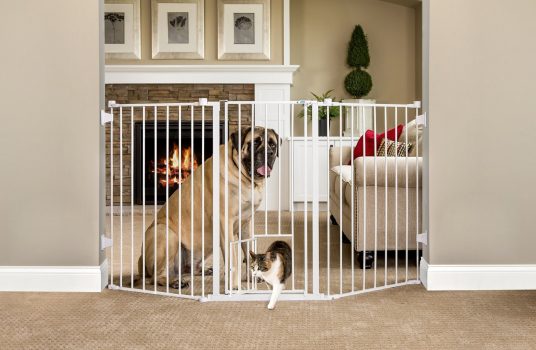 walk through gate with cat door
