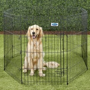 Petmate Wire Exercise Playpen