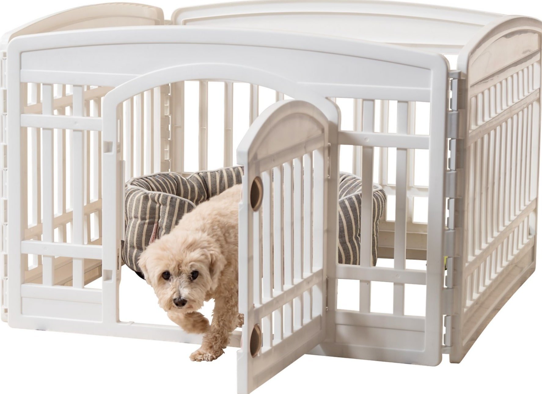 Best Puppy Playpen The Best Puppy Playpens for Safe Playtime