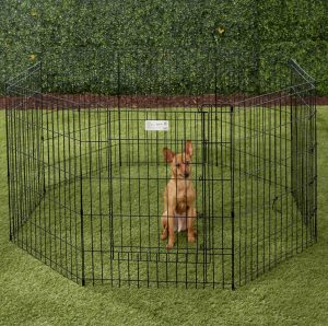 MidWest wire dog exercise pen