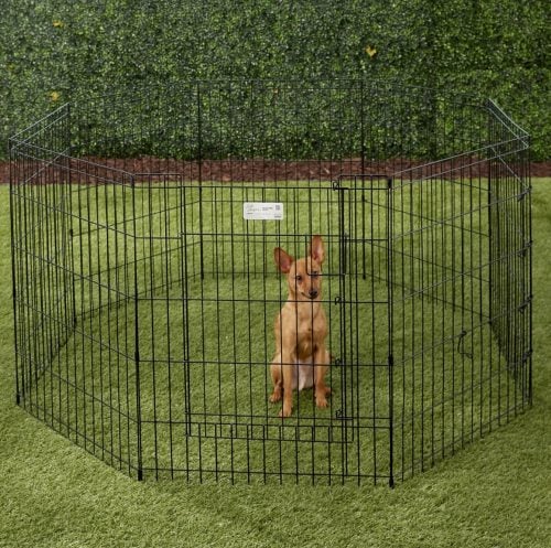 MidWest wire dog exercise pen