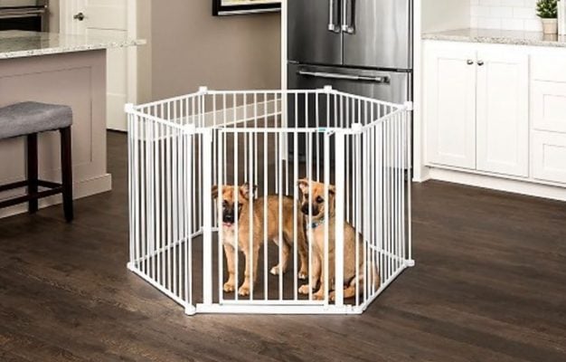 wire puppy pen
