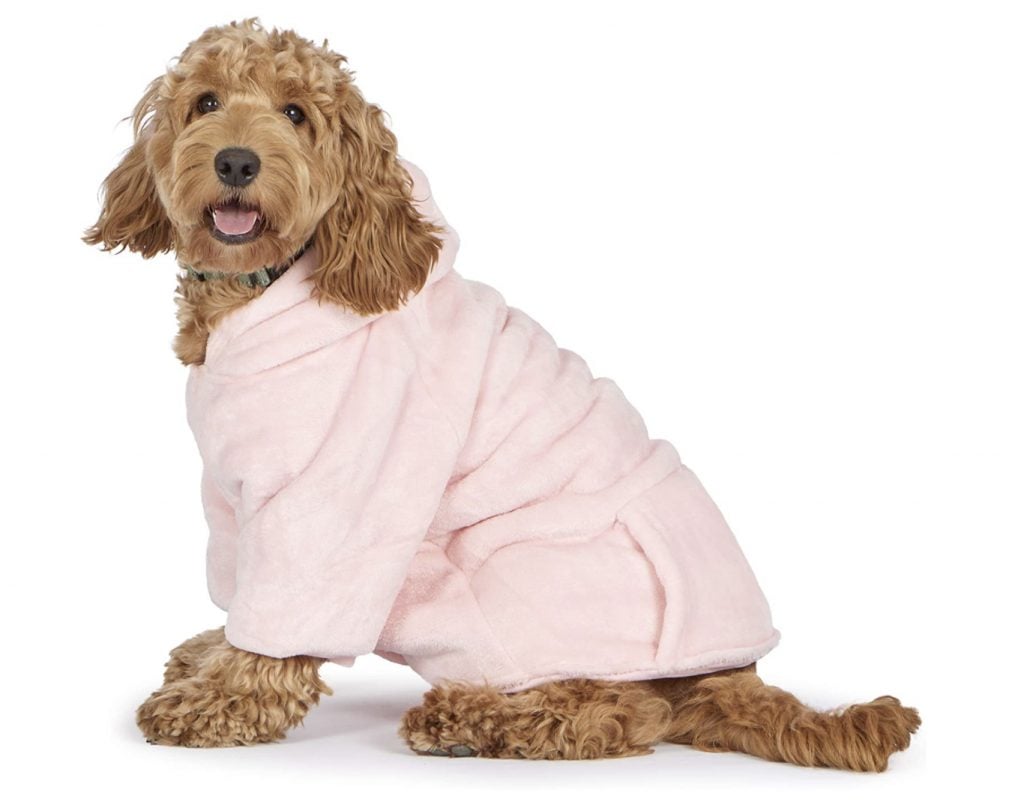 Want Clothing Options for Your Large Dog? The Best Large Dog Clothes